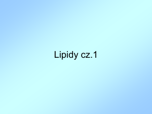Lipidy cz.1