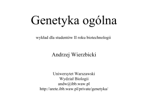 Andrzej Wierzbicki