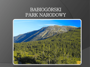 babiogórski_park_narodow