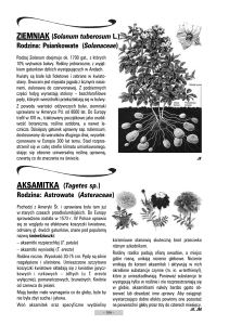 ZIEMNIAK (Solanum tuberosum L.) Rodzina: Psiankowate