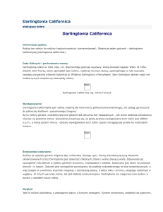 Opisy roślin - encyklopedia - Darlingtonia - rosliny
