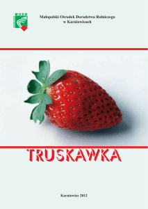 truskawka - Małopolski Ośrodek Doradztwa Rolniczego