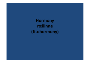 Hormony roœlinne [tryb zgodnoœci]