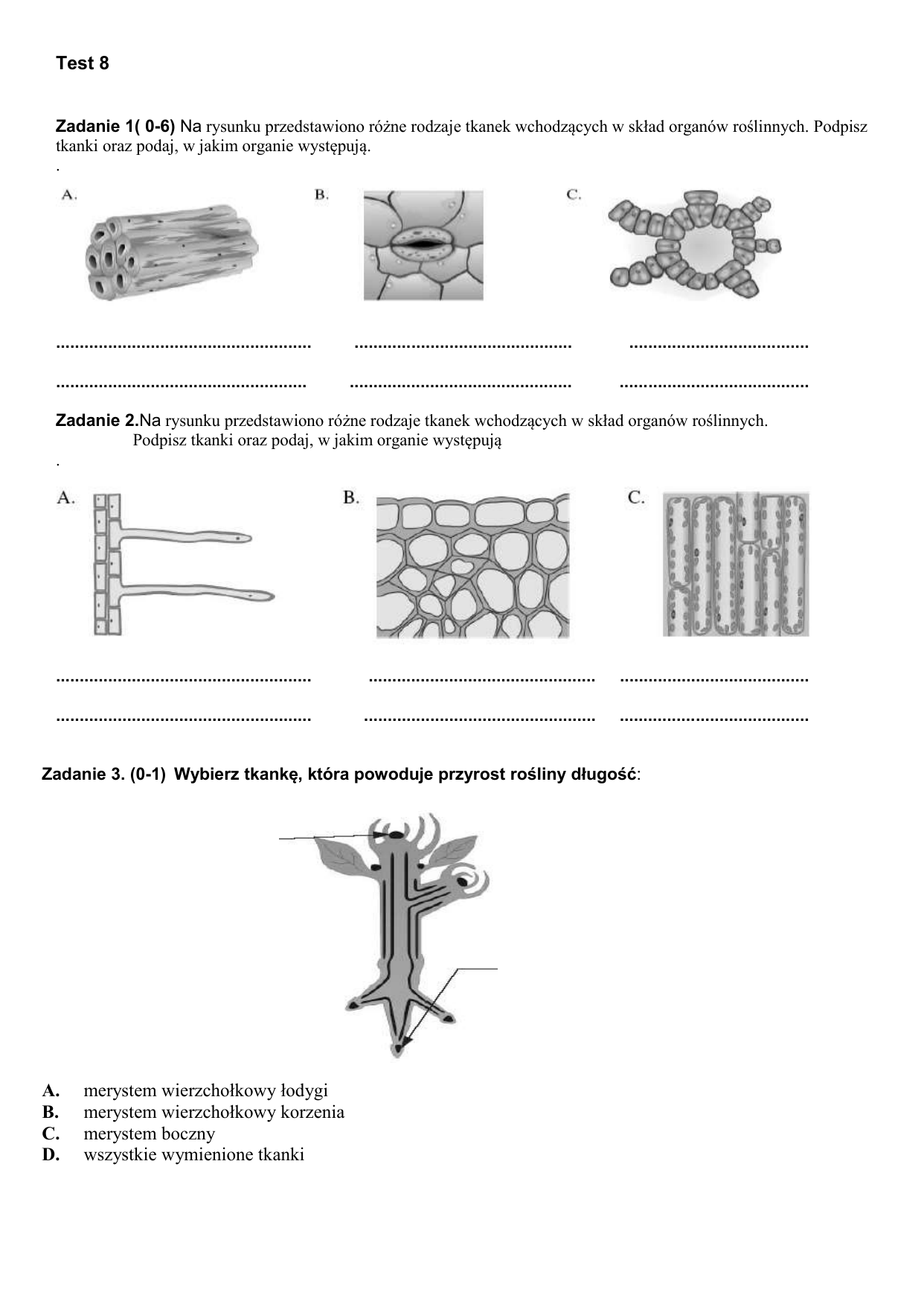 Sprawdzian Z Biologi Klasa 5 Dział 4 Sprawdzian Z Biologi Klasa 5 Tkanki I Organy Roślinne - Margaret Wiegel