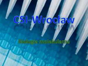 CSI-Wroc*aw