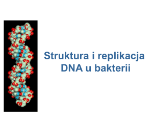 Struktura i replikacja DNA