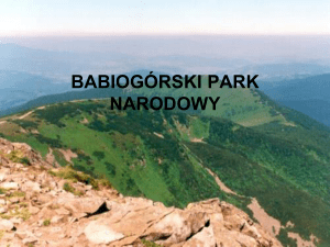 babiogórski park narodowy