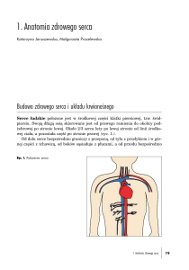 1. Anatomia zdrowego serca