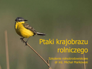 ptaki_krajobrazu_rolniczego - Stowarzyszenie LGD Pojezierze