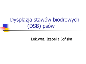 Dysplazja stawów biodrowych (DSB) psów