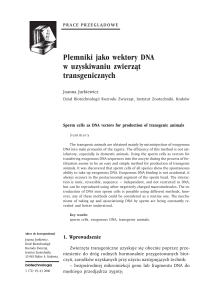 Joanna Jurkiewicz Plemniki jako wektory DNA w uzyskiwaniu