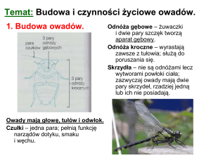 Temat: Budowa i czynności życiowe owadów.