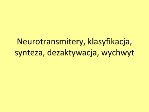 Neurotransmitery peptydowe (neuropeptydy)