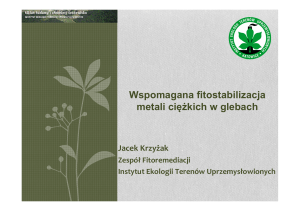 Wspomagana fitostabilizacja metali ciężkich w glebach