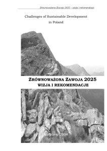 Raport „Zawoja 2025 – wizja i” został przygotowany przez