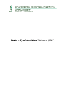 Bakteria Xylella fastidiosa Wells et al. (1987)