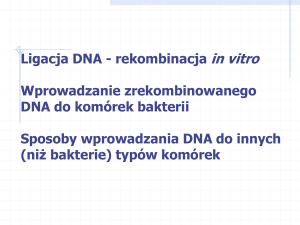 wyklad_6_wprowadzanie_DNA 2016