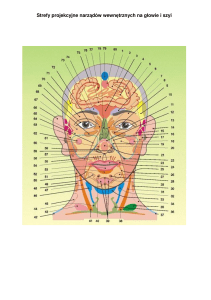 Strefy projekcyjne narządów wewnętrznych na głowie i szyi