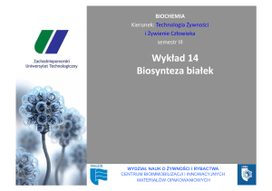 Wykład 14 Biosynteza białek