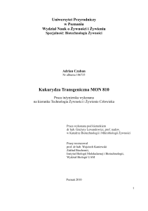 Kukurydza Transgeniczna MON 810 - Uniwersytet Przyrodniczy w