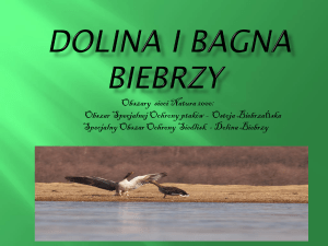 Dolina Biebrzy - Natura 2000 a turystyka