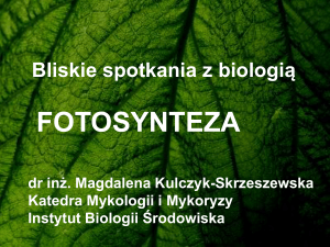 fotosynteza - Instytut Biologii Eksperymentalnej