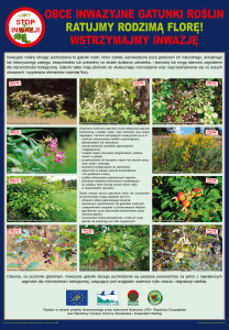 inwazyjne gatunki roślin - Wigierski Park Narodowy