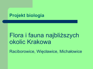 Środowisko naturalne Polski. Region Małopolski. Presentation R