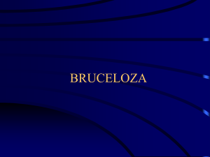 Bruceloza