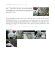 Jeziorko Czerniakowskie zarybione szczupakiem Galeria zdjęć