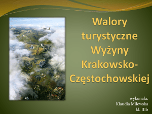 Walory turystyczne Wy*yny Krakowsko