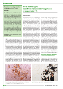 Rola makrofagów i centrów melano‑makrofagowych w odporności ryb