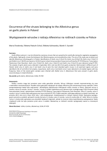 Occurrence of the viruses belonging to the Allexivirus genus on