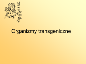 Organizmy transgeniczne