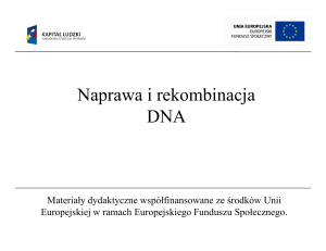 Naprawa i rekombinacja DNA