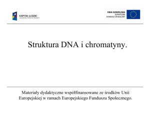 Struktura DNA i chromatyny