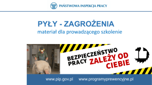 PYŁY - pip.gov.pl - Strona główna Państwowej Inspekcji Pracy