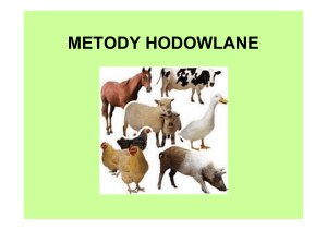METODY HODOWLANE