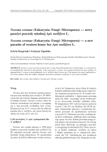 Nosema ceranae (Eukaryota: Fungi: Microsporea) — nowy pasożyt