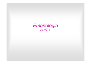 Embriologia