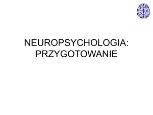 neuropsychologia - droga do sukcesu