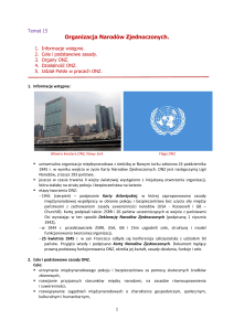 Organizacja Narodów Zjednoczonych