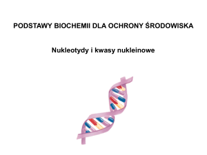 Kwasy nukleinowe DNA