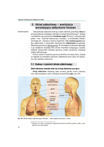 5. Układ oddechowy - wentylacja warunkująca oddychanie tlenowe
