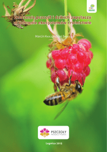 Znaczenie pszczół i dzikich zapylaczy w ochronie ekosystemów i