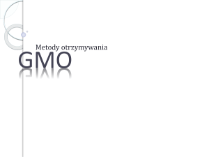 GMO - Blogi CEO