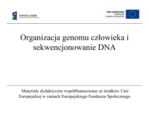 Organizacja genomu człowieka