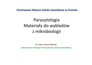 Mikrobiologia Protista, Mycota