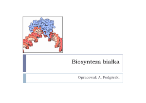 biosynteza bialka