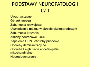Neuropatologia
